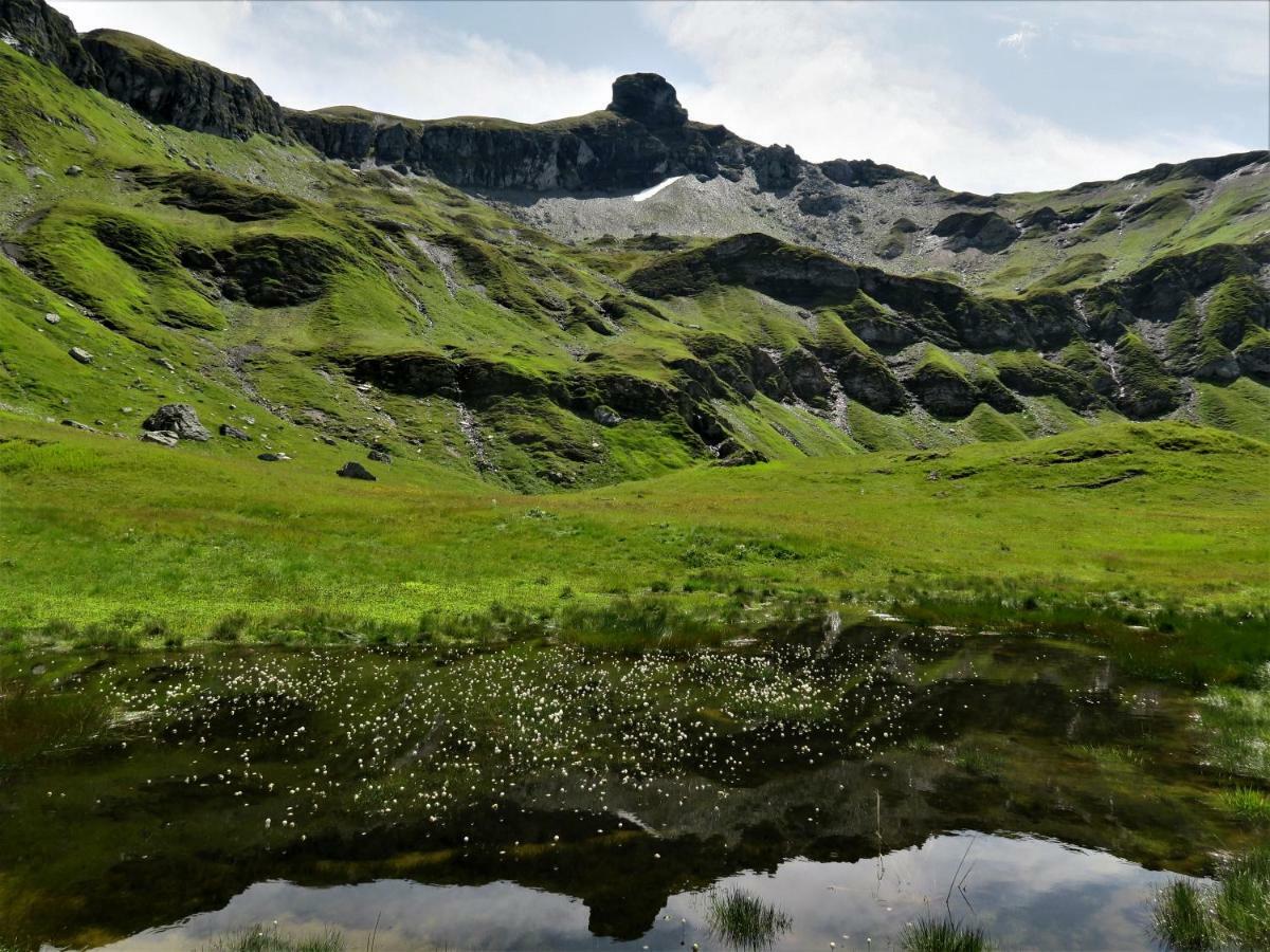 Aktivhostel HängeMatt Exteriör bild